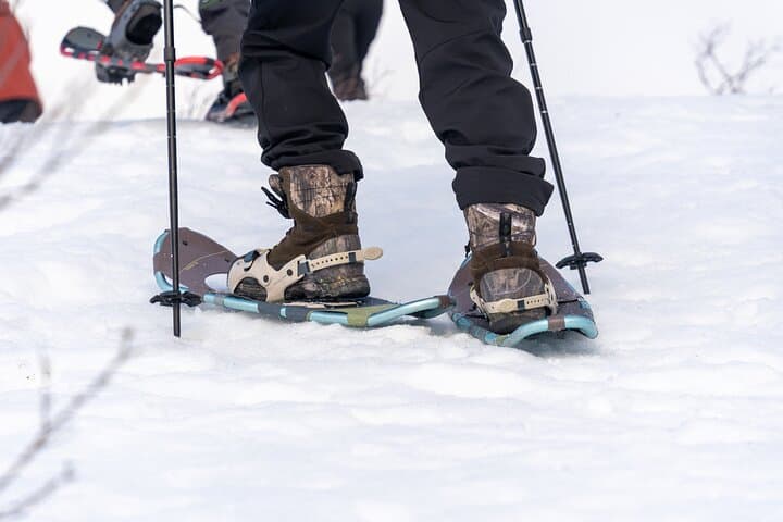 Snowshoe Hike on Kvaløya: Small-Group Arctic Trek from Tromsø photo 5