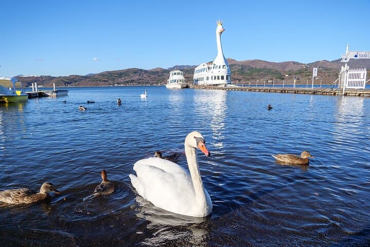 Mt Fuji & Hakone: Lake Ashi Pirate Ship, Owakudani Vents & Ropeway Day Tour photo 6