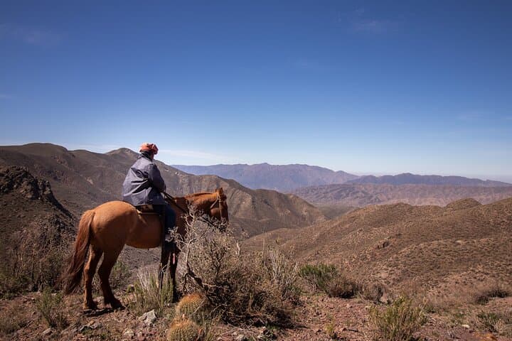 Mendoza Andes Horseback Ride to 2,500m with Asado & Wine