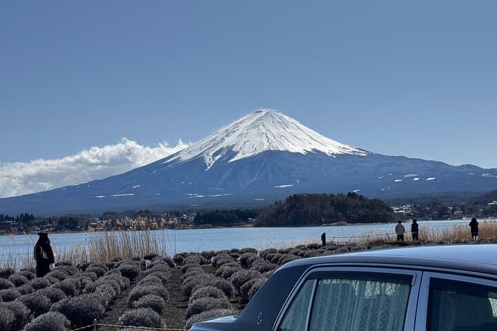 Private Mount Fuji Day Tour from Tokyo: Lakes, Pagodas & Panoramic Views photo 4