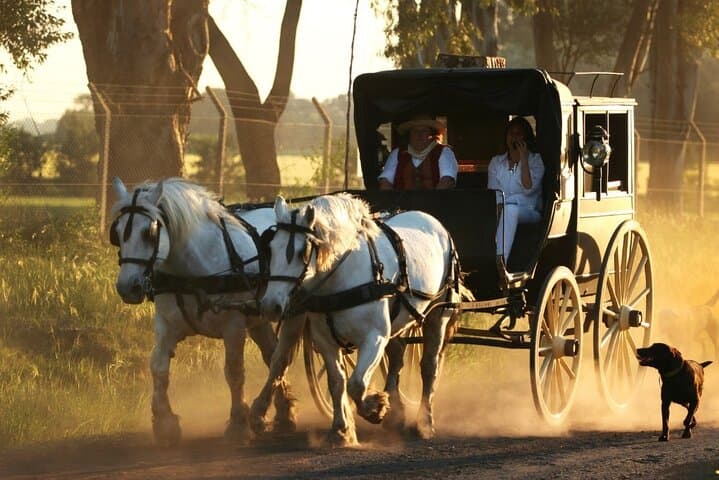 Authentic Gaucho Ranch Near San Antonio de Areco: Ride with True Gauchos photo 6