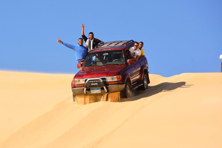 Fayoum Oasis and Wadi El Rayan Waterfalls Day Tour from Cairo photo 5