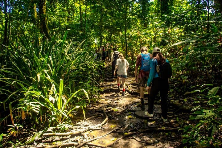 Full-Day Corcovado Hiking Tour from Uvita — Wildlife, Rainforest Trails & Beach Return photo 2