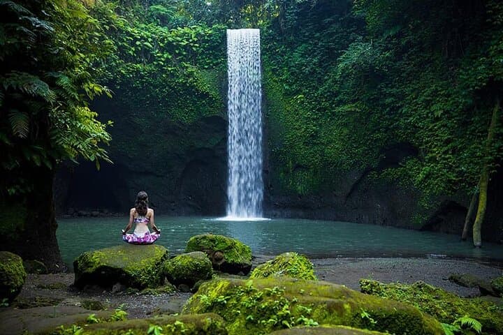Ubud Waterfall, Tegalalang Rice Terraces & Monkey Forest Private Tour