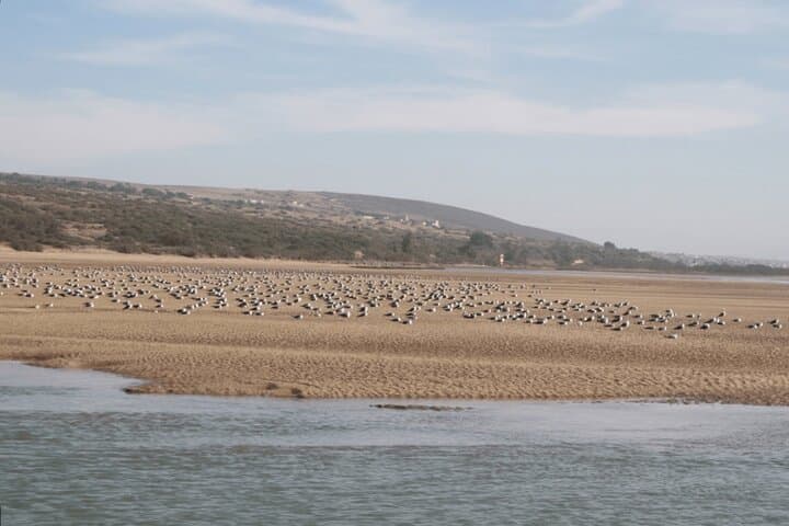 Legzira & Tiznit Day Trip from Agadir — Beaches of Souss Revealed photo 6