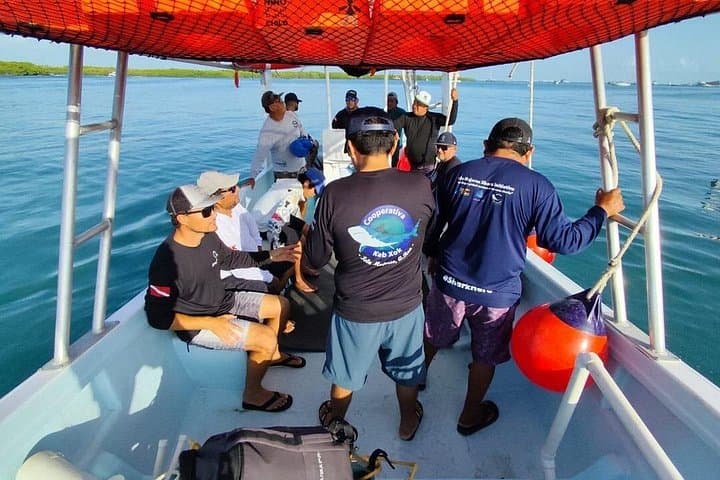 Pelagic Shark Safari: Snorkel with Silky Sharks off Isla Mujeres photo 4