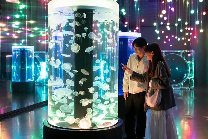 Maxell Aqua Park Shinagawa: Tokyo's LED-Lit Aquarium Experience photo 2