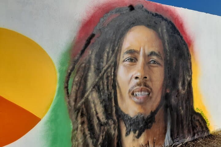 From Montego Bay to Kingston: Bob Marley Museum & Devon House Day Tour photo 3