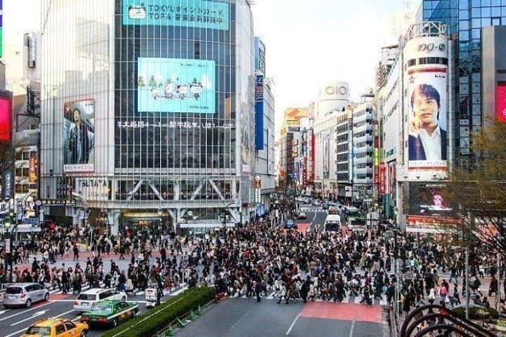 All-Inclusive Tokyo Private Guided Tour: Full-Day Highlights with Hotel Pickup photo 4