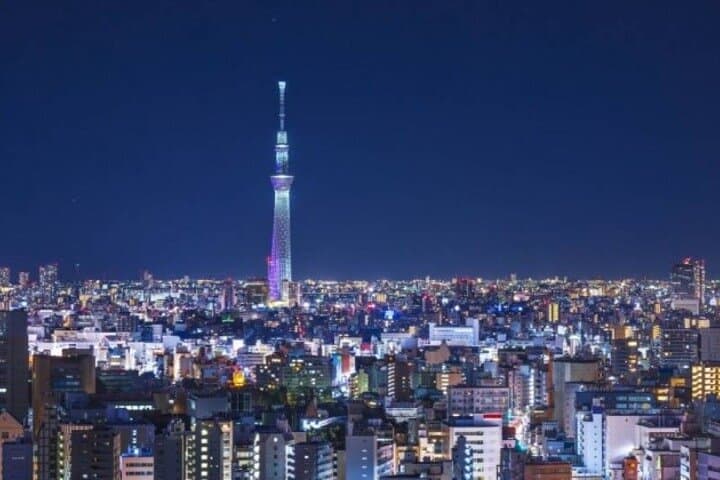 All-Inclusive Tokyo Private Guided Tour: Full-Day Highlights with Hotel Pickup photo 6