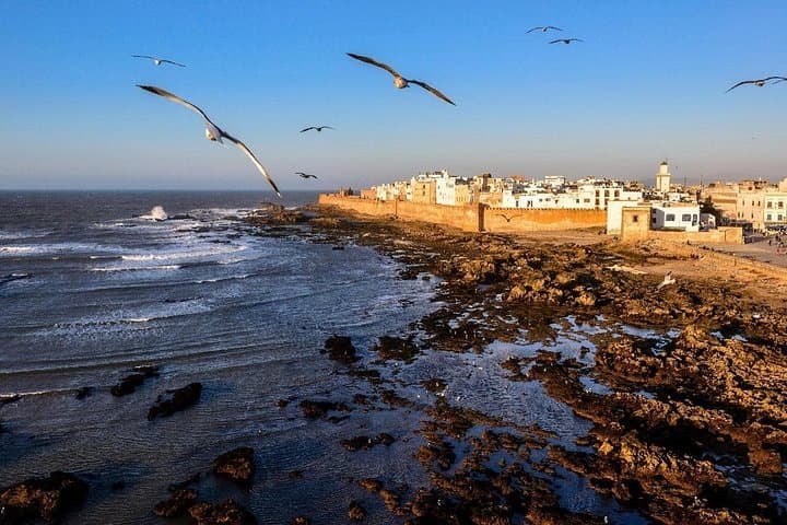 Essaouira Day Trip from Marrakech: Atlantic Ramparts, Medina & Argan Oil photo 2