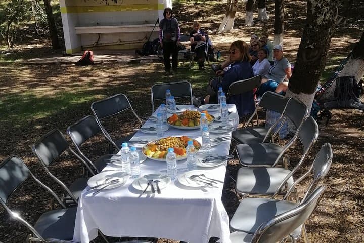 Ifrane National Park Full-Day Hike from Azrou — Cedar Forests & Barbary Macaques photo 6