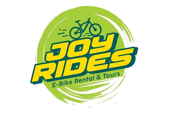 Heidelberg E-Bike Rental: Cruise the Neckar, Castle & Philosophenweg in a Day