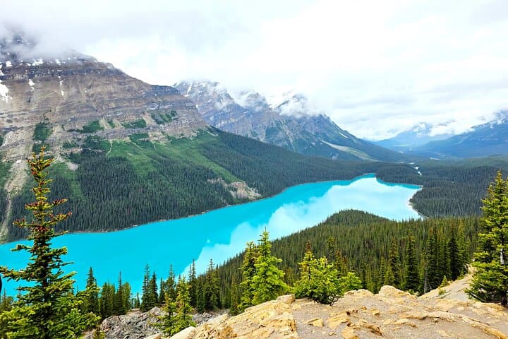 Banff, Lake Louise & Icefields Parkway Private Tour: Full-Day Sightseeing