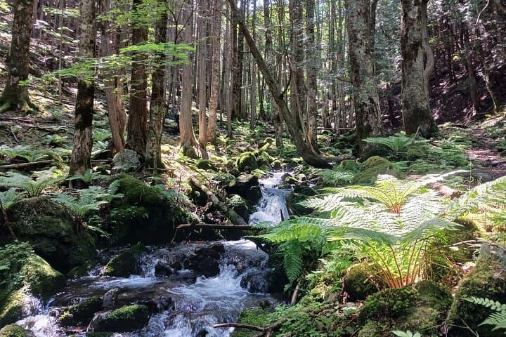 Hike Matsumoto Mt Hachibuse for Japan Alps and Mt Fuji Panorama photo 2