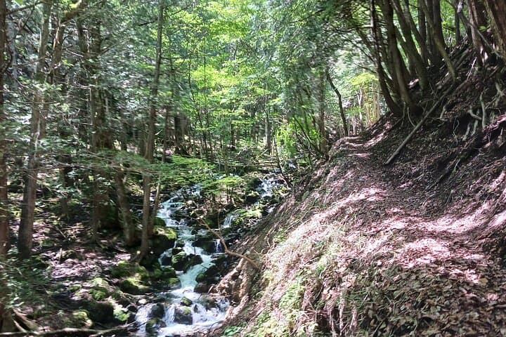 Hike Matsumoto Mt Hachibuse for Japan Alps and Mt Fuji Panorama photo 4