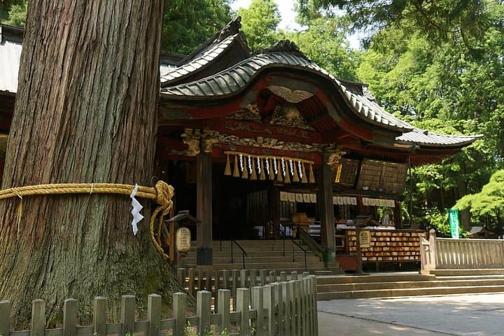 Mount Fuji Lake Yamanaka Discovery: Private Oshino Hakkai & Kitaguchi Sengen Tour photo 2