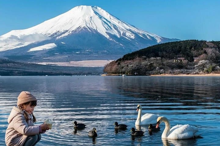 Mount Fuji Lake Yamanaka Discovery: Private Oshino Hakkai & Kitaguchi Sengen Tour photo 3