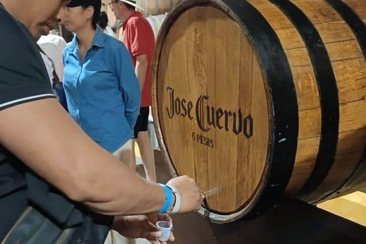 Tequila Day Trip from Guadalajara: José Cuervo Factory, Agave Fields & Cantaritos Party photo 2