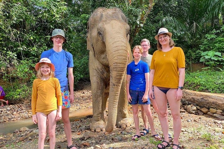 Jurassic World Huay To Waterfall Jungle Tour from Krabi: Ethical Elephant Encounters & Seven-Tier Falls