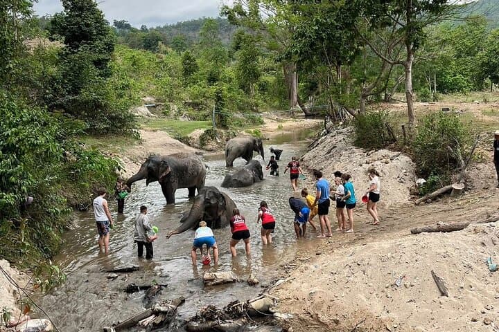 2-Day Jeep Adventure to Doi Inthanon: Chiang Mai Off-Road, Waterfalls & Karen Village photo 4