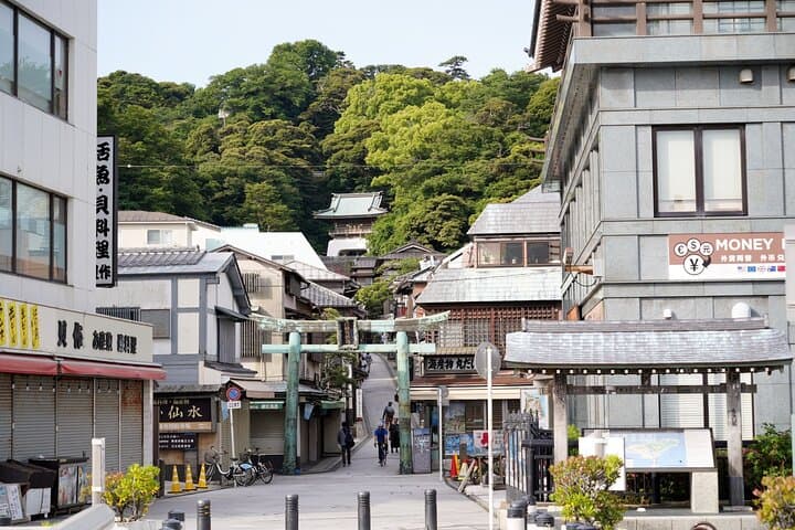 Kamakura & Enoshima: One-Day Walking Discovery of Temples, Coast, and the Great Buddha photo 2