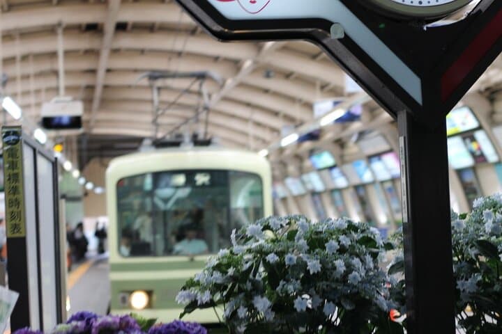 Kamakura & Enoshima: One-Day Walking Discovery of Temples, Coast, and the Great Buddha photo 3