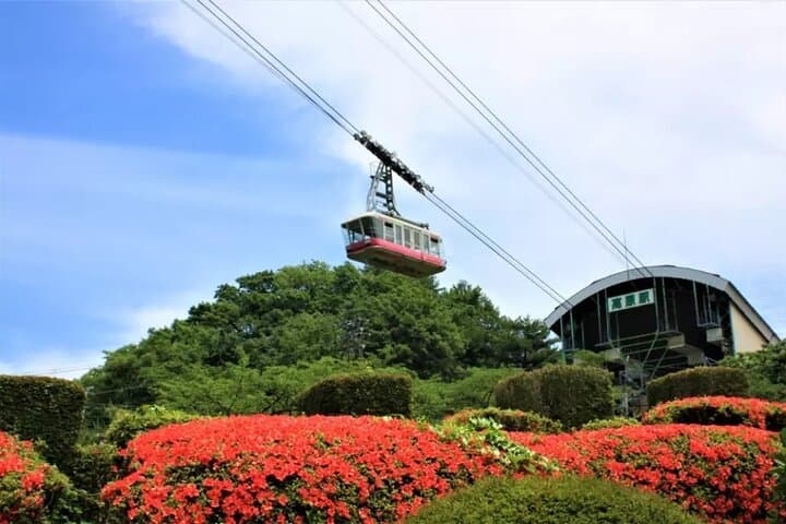 Day Trip from Fukuoka: Yufuin Kinrin Lake, Beppu Sea & Stove Hell and Kyushu Zoo photo 6
