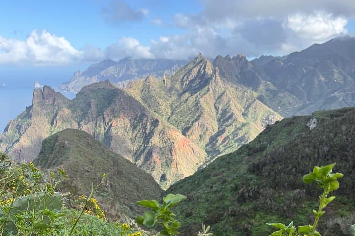 Taborno Trail Hike in Anaga: 7 km Coastal Views & Laurel Forest Picnic photo 4
