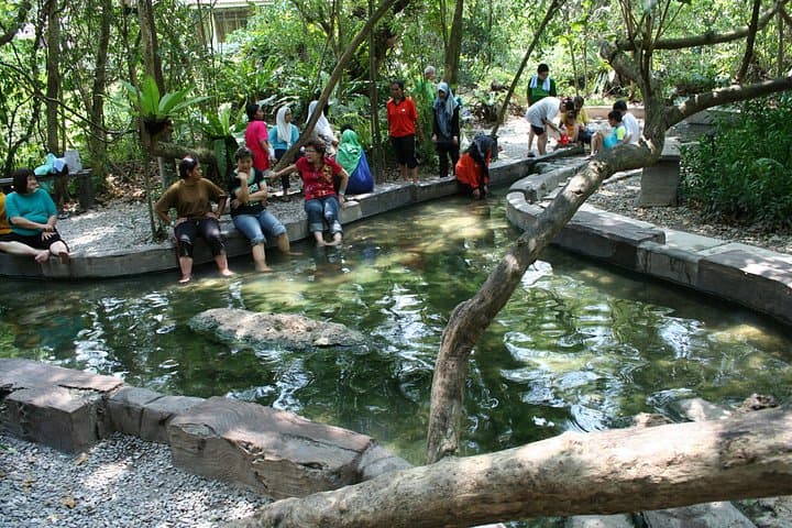 Soak and Restore: Sungkai Hot Springs Day Trip from Kuala Lumpur photo 6