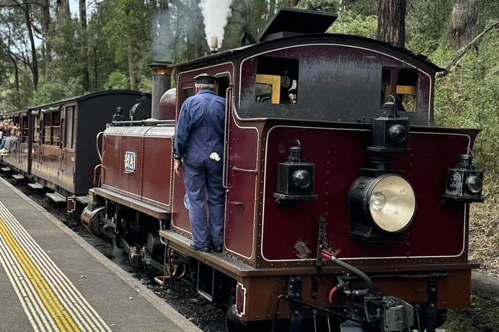 Puffing Billy & Healesville: A Day Through the Dandenong Ranges photo 2