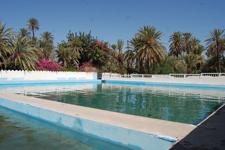 Day Trip from Agadir to Taroudant and Kasbah Tiout Oasis photo 5