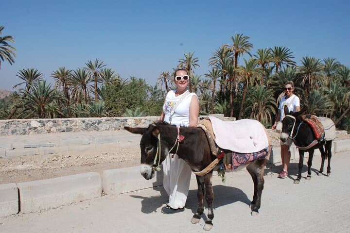 Day Trip from Agadir to Taroudant and Kasbah Tiout Oasis photo 6