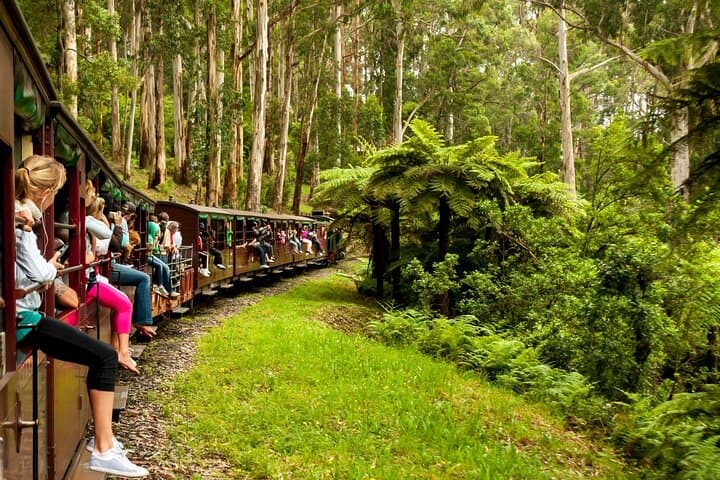 Puffing Billy & Healesville: A Day Through the Dandenong Ranges photo 3