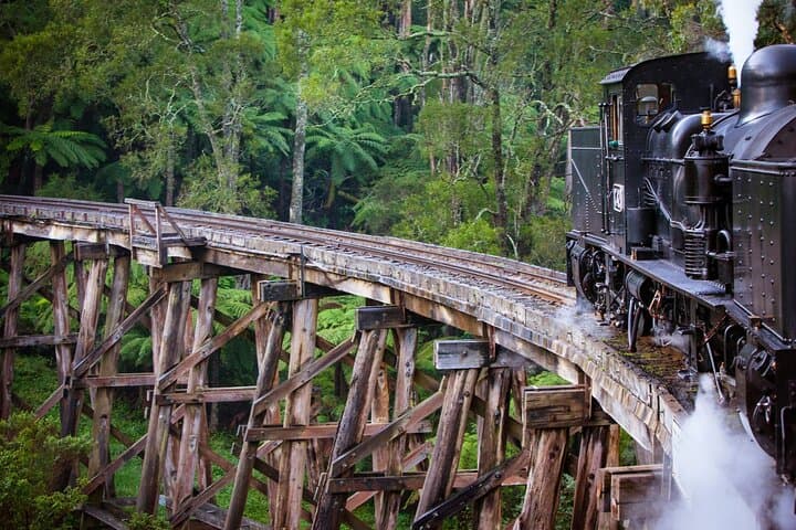 Puffing Billy & Healesville: A Day Through the Dandenong Ranges photo 4