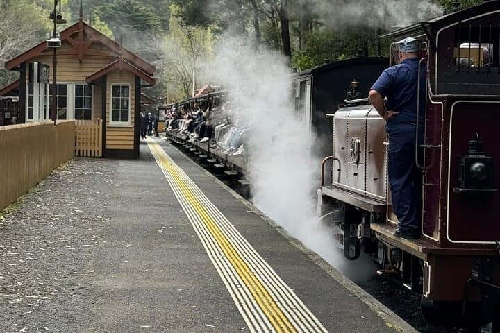 Puffing Billy & Healesville: A Day Through the Dandenong Ranges