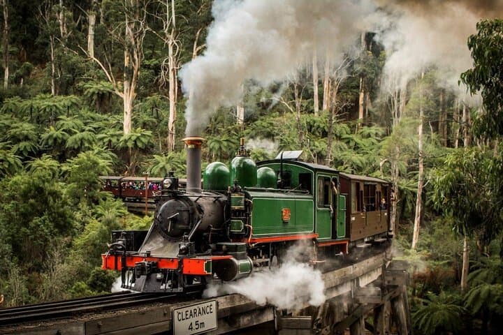 Puffing Billy & Healesville: A Day Through the Dandenong Ranges photo 5