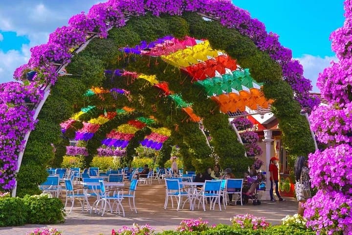 Half-Day Dubai City Tour with Miracle Garden Ticket — Modern and Historic Highlights photo 3