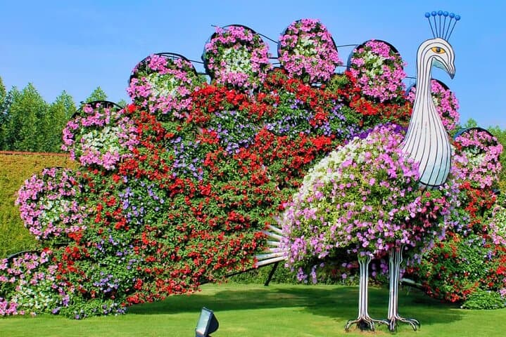 Half-Day Dubai City Tour with Miracle Garden Ticket — Modern and Historic Highlights photo 4