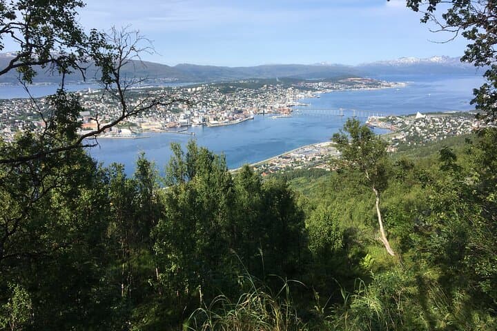 Tromsø Fløya Hike: Midnight-Sun Trek with a Local Guide photo 6