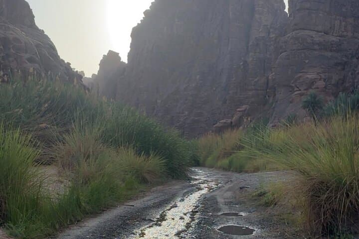 Al Disah Valley Tour: Day Trip to Tabuk’s Dramatic Wadi and Rock Formations photo 3