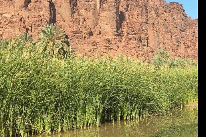 Al Disah Valley Tour: Day Trip to Tabuk’s Dramatic Wadi and Rock Formations photo 4
