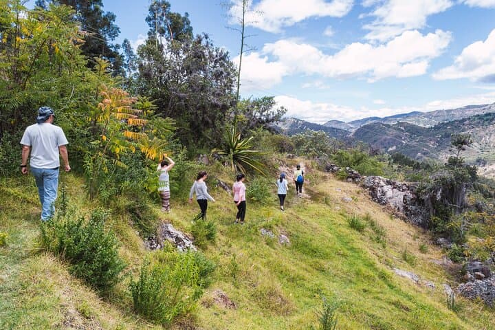 Trekking Madeira: 8-Day Guided Levada Walks & Coastal Trails from Funchal photo 5