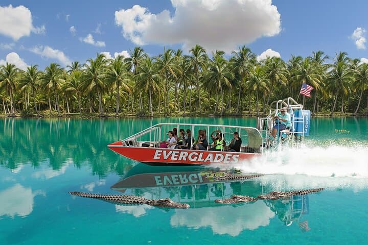Miami Everglades Airboat Tour: Alligator-Spotting & Wildlife Experience
