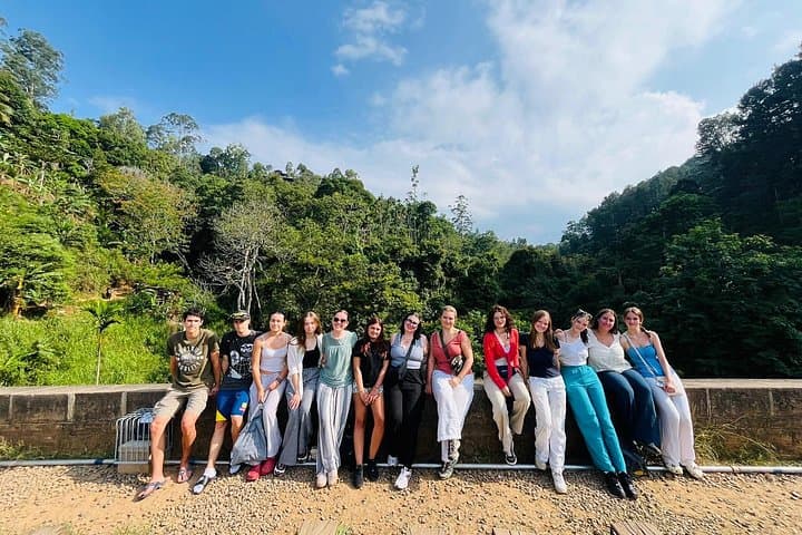 Ella Private Day Trip: Nine Arch Bridge, Little Adams Peak & Tea Country photo 4