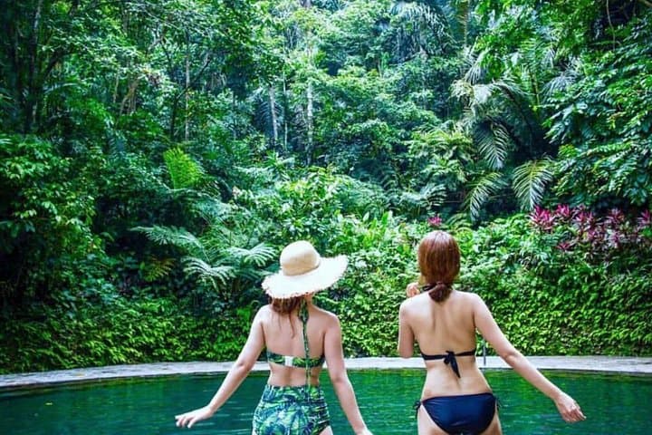 Hidden Valley Springs Day Trip: Waterfalls, Mineral Pools & Rainforest Trails from Manila photo 3