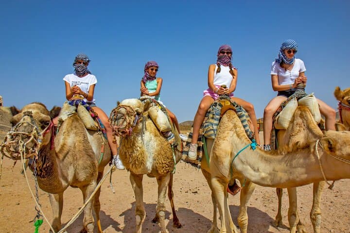 Sahara Day Adventure from Agadir — Camel Ride, Tiznit & Souss-Massa