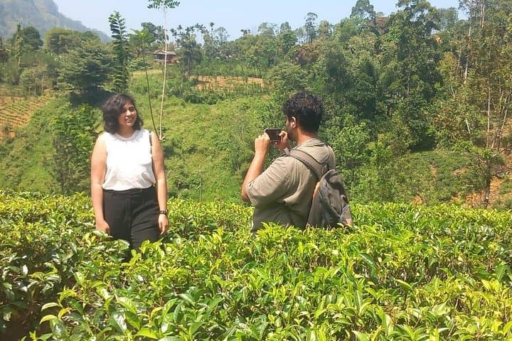 Kandy in Five Hours: Tuk Tuk Highlights, Temple of the Tooth & Tea Tasting photo 2