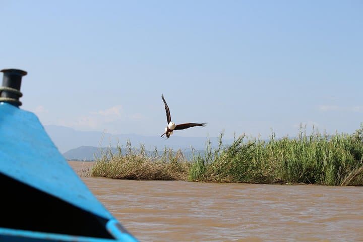 Discover Ethiopia: Cultural Journeys, Crater Lakes & Highland Adventures photo 3