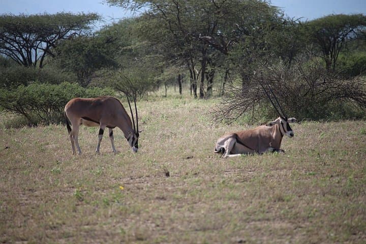 Discover Ethiopia: Cultural Journeys, Crater Lakes & Highland Adventures photo 4